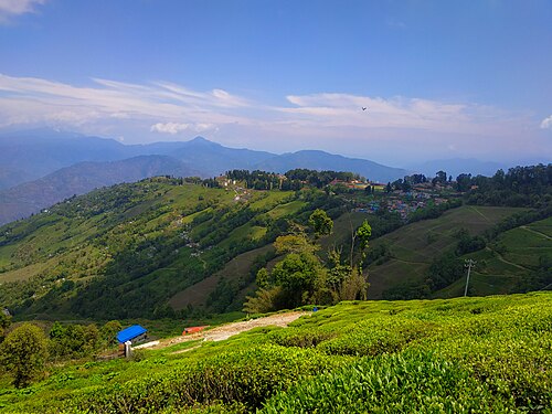 Darjeeling district